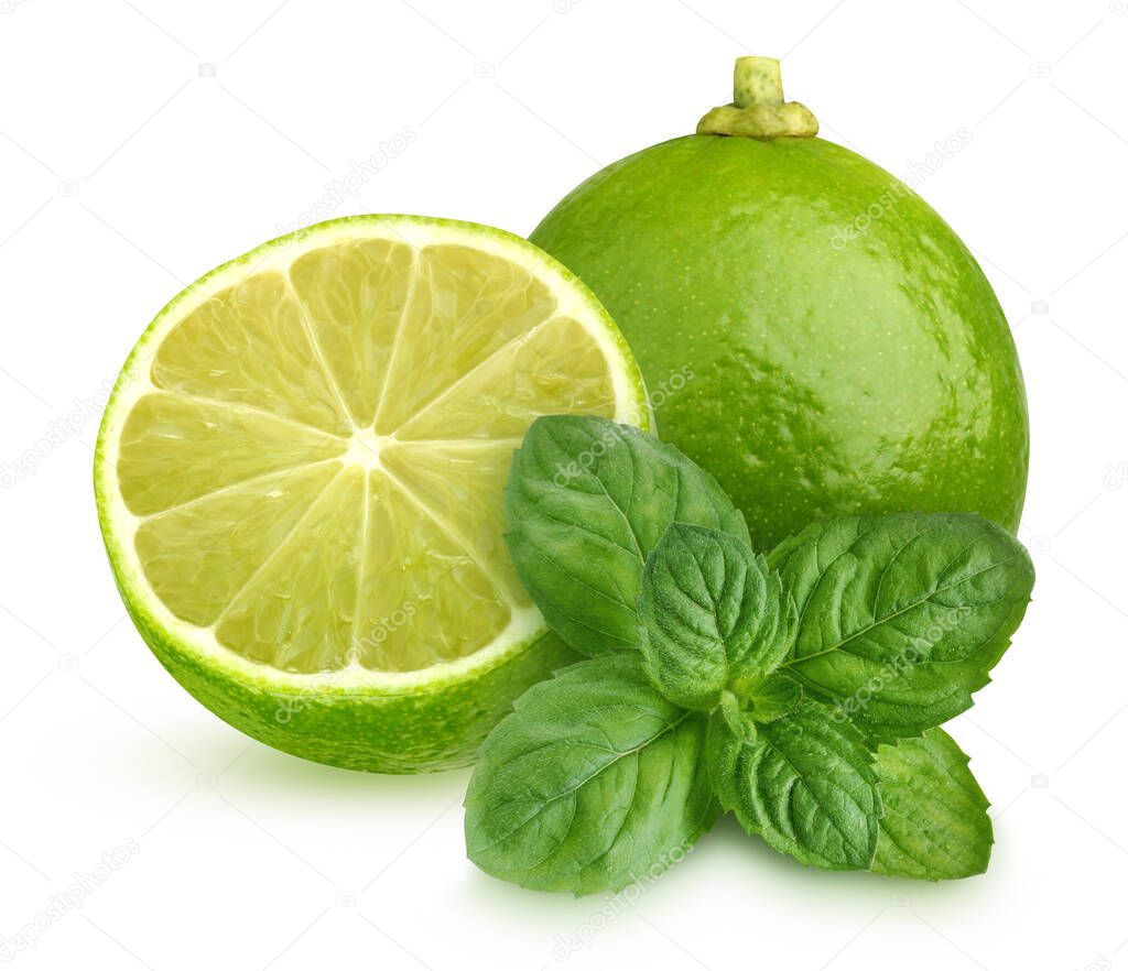isolated lime and mint leaf. one and a half citrus fruits and peppermint leaves isolated on a white background with a clipping path.
