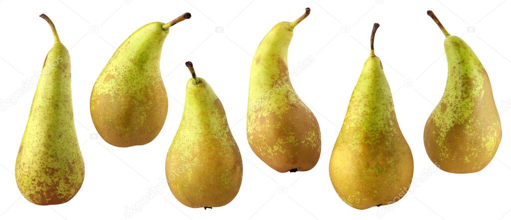 pears isolated on a white background with a clipping path. a collection of whole fruits. pear conference.