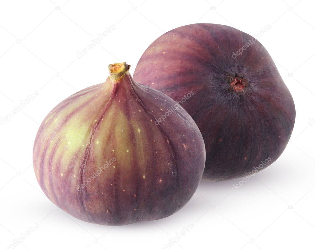 purple figs isolated on white background with a clipping path. two whole fruits.