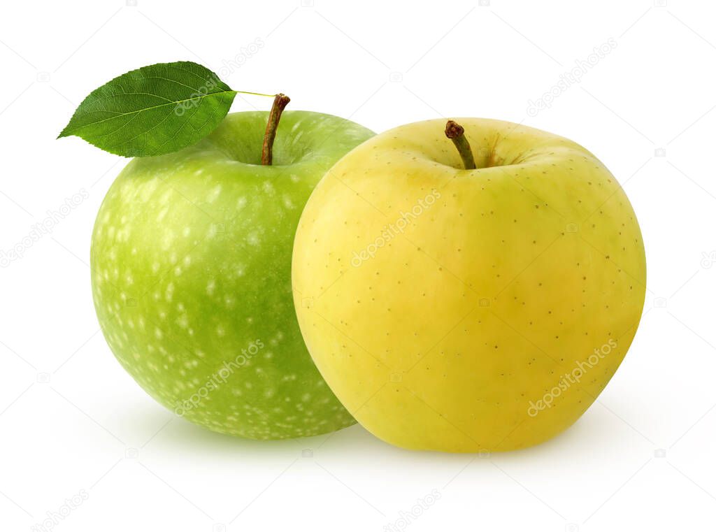 two Apple  isolated on white background. whole fruit with shadow. yellow and green apples.