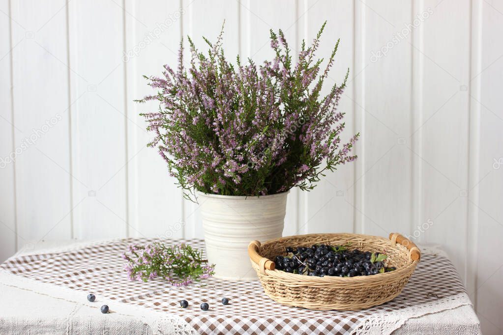heather and blueberries. a bouquet of flowers and wild berries. light rustic still life on a light background. summer.