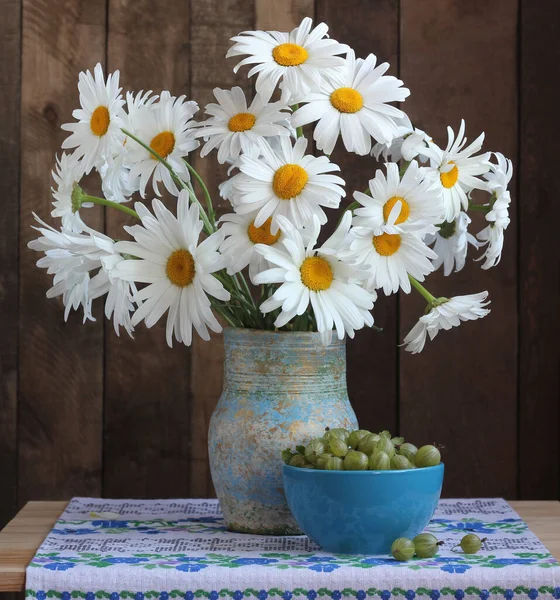 Zátiší Sedmikráskami Angreštami Květiny Bobule — Stock fotografie