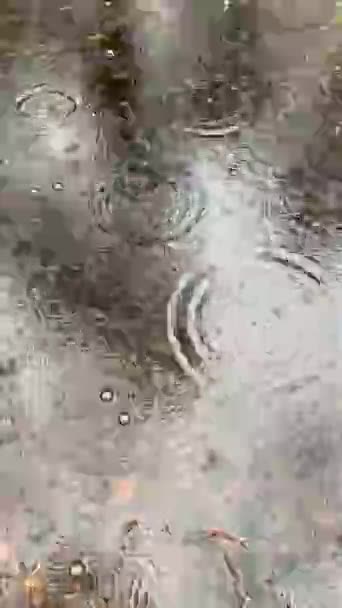 Esőcseppek Beleesnek Egy Pocsolyába Erdőben Körök Cseppek Víz Felszínén Felülnézetből — Stock videók