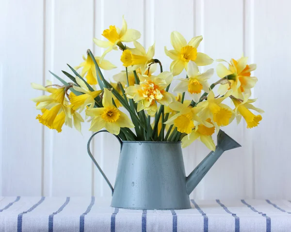 Buquê Narcisos Amarelos Uma Lata Rega Mesa Composição Mola Leve — Fotografia de Stock