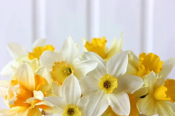 Цветочный Светлый Фон Желтый Сад Нарциссы Естественный Фон Крупный План — стоковое фото