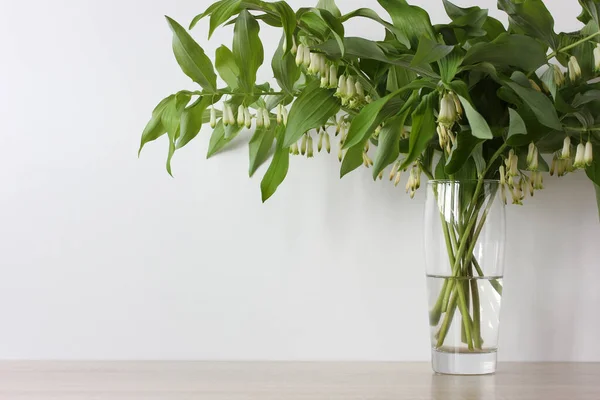 Polygonatum Bukett Gröna Grenar Med Vita Blommor Glasvas Bordet — Stockfoto