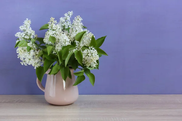 Witte Lila Een Paarse Achtergrond Tuin Lente Bloemen Een Kan — Stockfoto