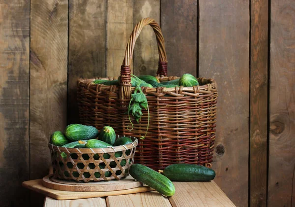 Stilleben Med Färska Gröna Gurkor Korg Mat Grönsaker Bordet Sommarkomposition — Stockfoto