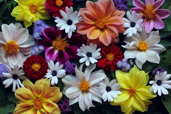 Floral Υφή Θέα Απευθείας Από Πάνω Λουλούδια Κήπου Μπουκέτο Φυσικό — Φωτογραφία Αρχείου