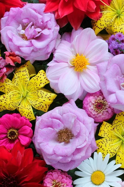 Fundo Floral Vista Superior Flores Diferentes Jardim Close — Fotografia de Stock