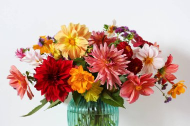 garden bouquet of dahlias close-up, selective focus. floral background.