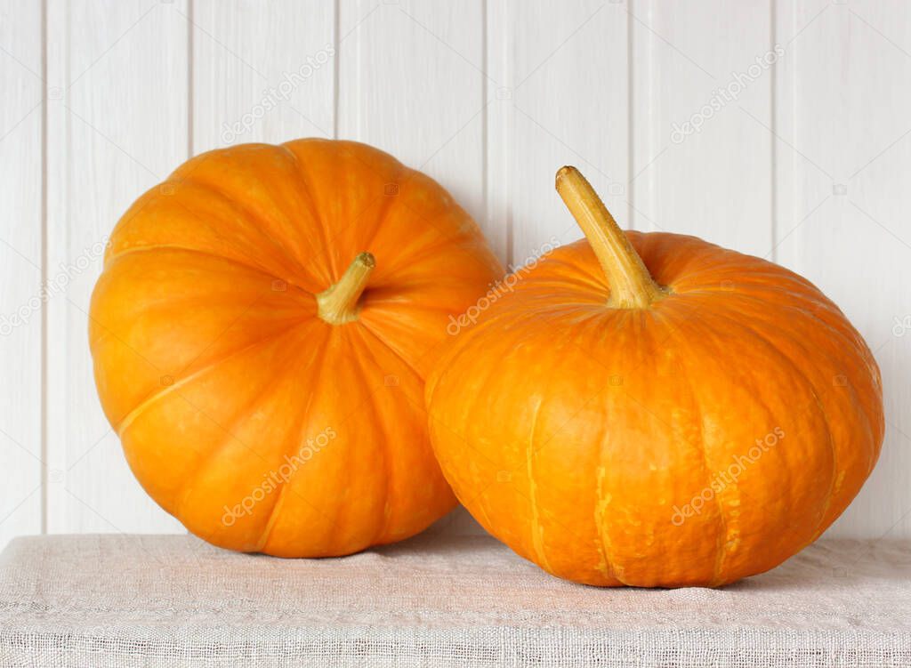 two orange pumpkins on the table on a light background food fresh harvest halloween