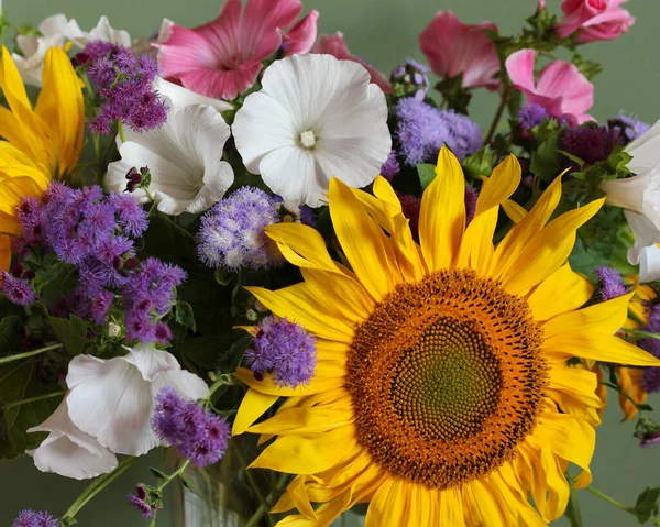 Μπουκέτο Close Λουλούδι Φόντο Ηλιέλαιο Ageratum Lavatera Επιλεκτική Εστίαση Καλοκαίρι — Φωτογραφία Αρχείου