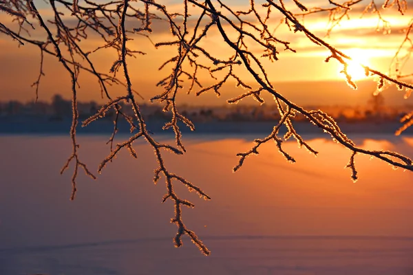 Vorst en zon — Stockfoto