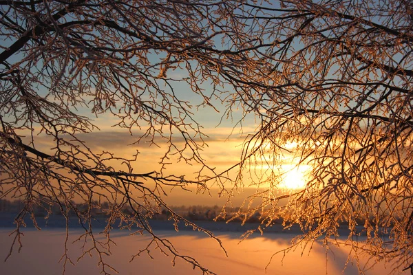 Frost a slunce — Stock fotografie