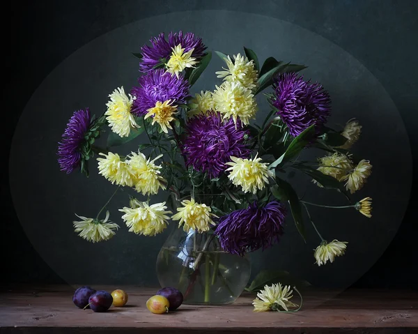 Astern und Pflaumen — Stockfoto