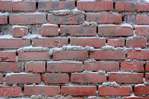 Bakstenen muur — Stockfoto