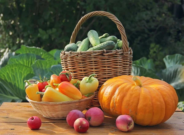 Яблука, огірки, перець і гарбуз на столі — стокове фото