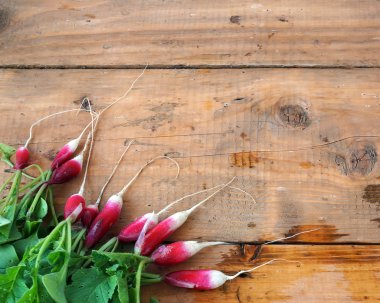 Bir üst kısımları sebze ile taze Bahçe turp