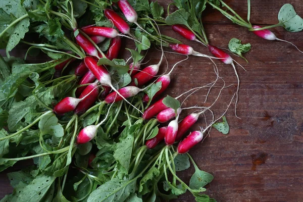 Radis de jardin frais avec un dessus de légumes — Photo