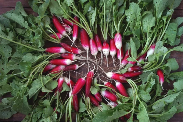 Rábano de jardín fresco con una parte superior de verduras — Foto de Stock