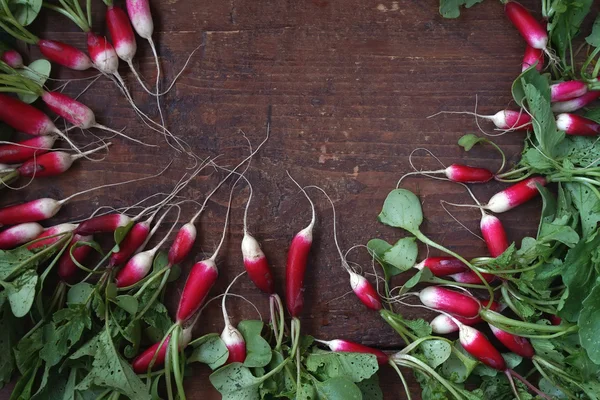 Rábano de jardín fresco con una parte superior de verduras — Foto de Stock