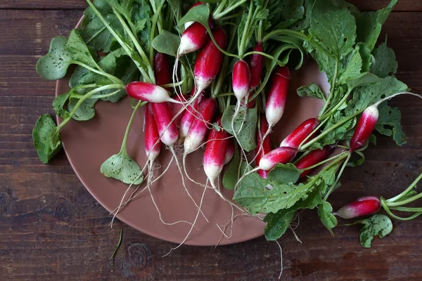 Fresh garden radish with a tops of vegetable — Stock Photo, Image