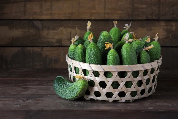 Natureza morta com pepinos . — Fotografia de Stock