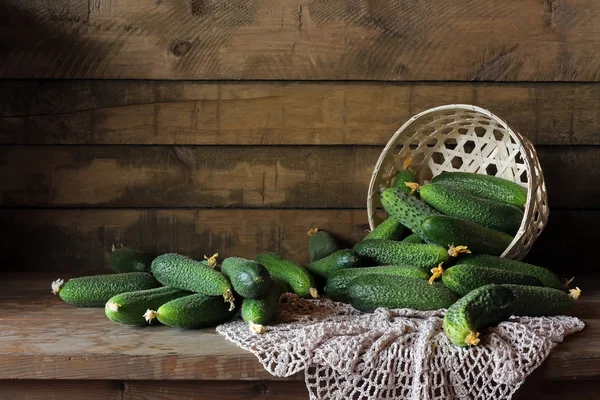 Natureza morta com pepinos . — Fotografia de Stock