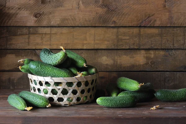 Natureza morta com pepinos . — Fotografia de Stock