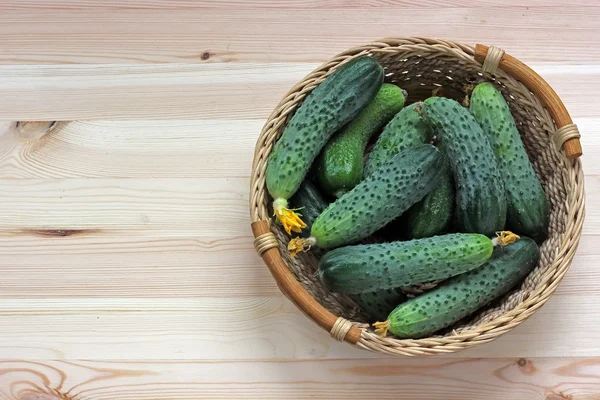 Stillleben mit Gurken. — Stockfoto