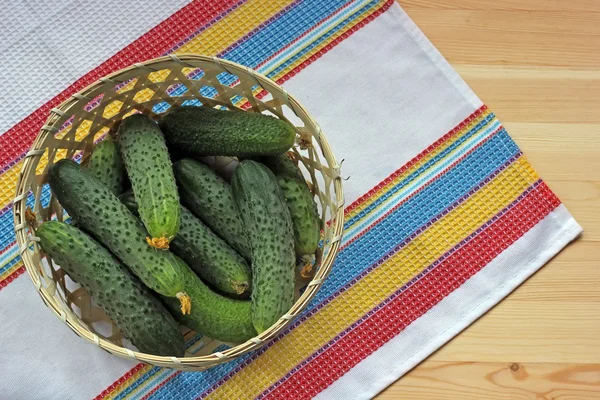 Still life with cucumbers. — Stock Photo, Image