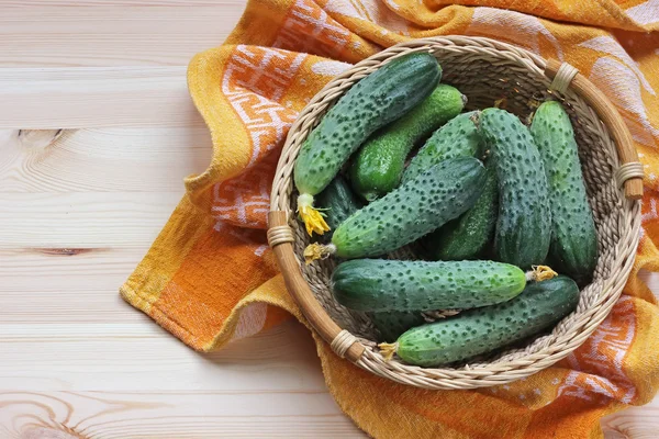 Still life with cucumbers. — Stock Photo, Image