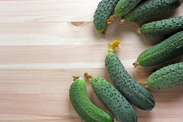 Bodegón con pepinos . — Foto de Stock