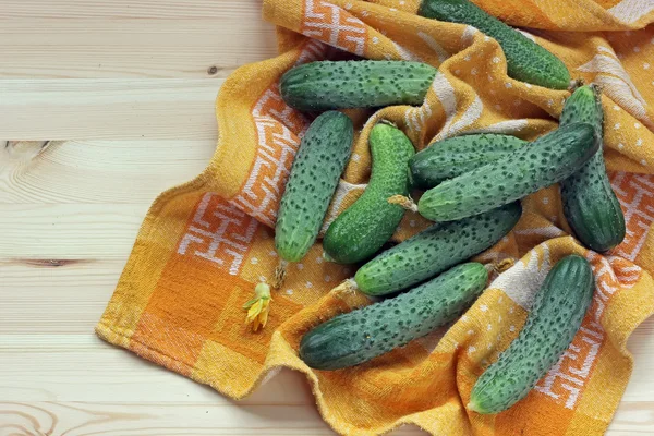 Still life with cucumbers. — Stock Photo, Image