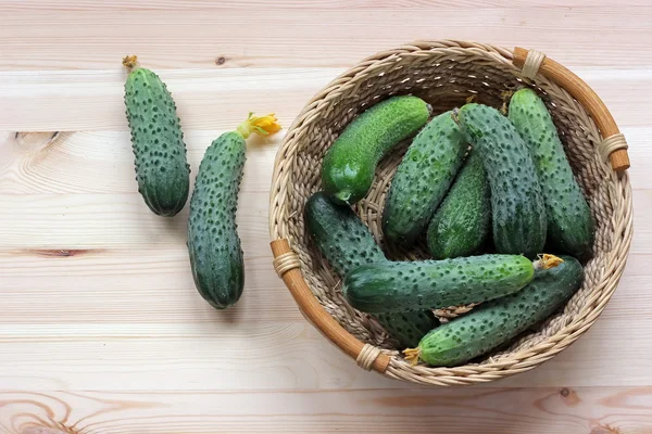 Still life with komkommers. — Stockfoto