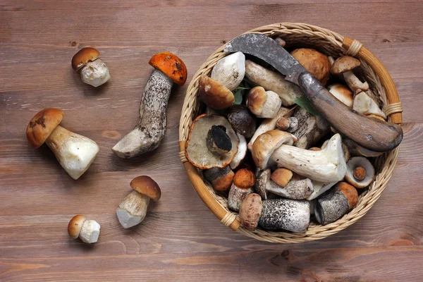 Natura morta con funghi . — Foto Stock