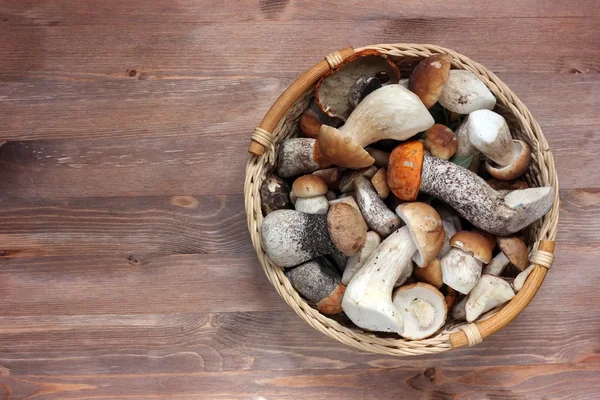 Mantar ile bir natürmort.