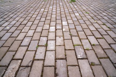 Figürlü fayans parke