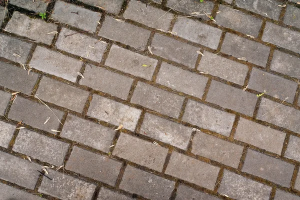Paving from figured tiles — Stock Photo, Image