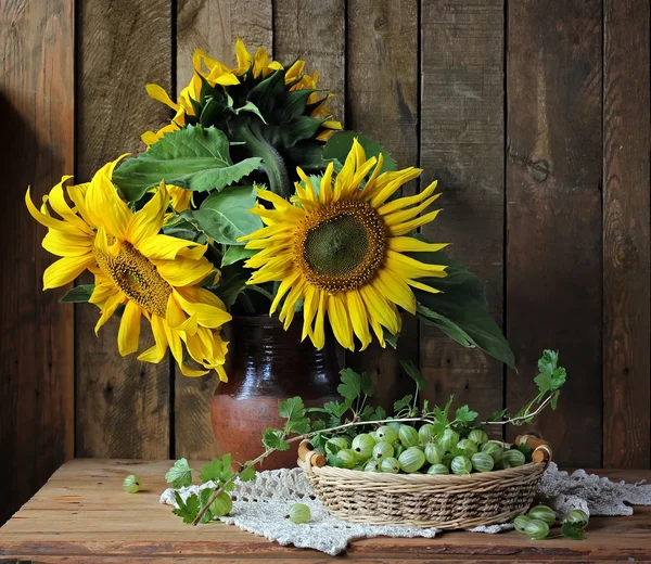 Stillleben mit einem Strauß Sonnenblumen und einer Stachelbeere. Blumen und Beeren. — Stockfoto