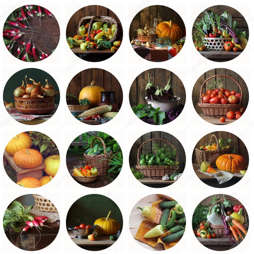 Collage from still lifes with vegetables and mushrooms. Food.