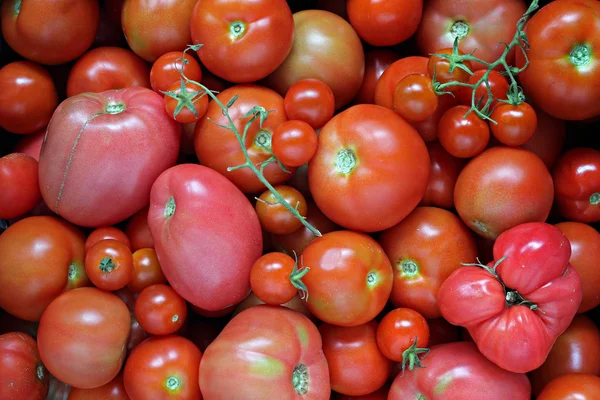 El fondo de los tomates . —  Fotos de Stock