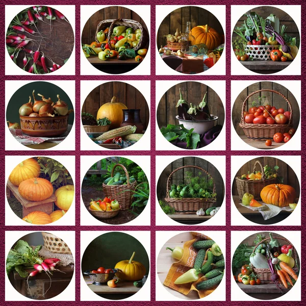 Collage da nature morte con verdure e funghi . — Foto Stock