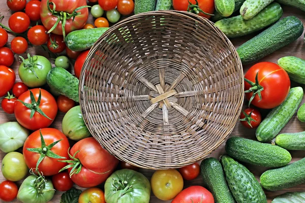 Frische Gurken, rote und grüne Tomaten — Stockfoto