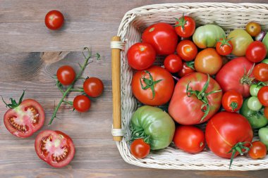 Taze domates bir sepet içinde kırmızı ve yeşil