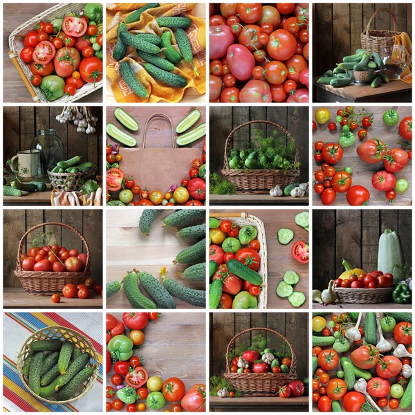 Colagem de naturezas mortas com pepinos e tomates . Fotografias De Stock Royalty-Free