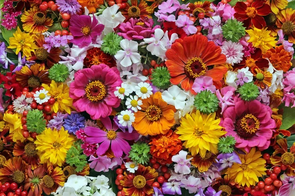 Квітковий фон. Фон з культивованих квітів . — стокове фото