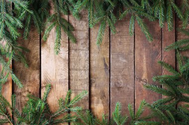 Kurulları yukarıdan köknar ağacı dalları ile arka plan