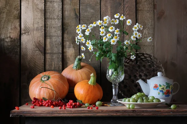 Stillleben mit Kamille, Kürbis und Beeren — Stockfoto